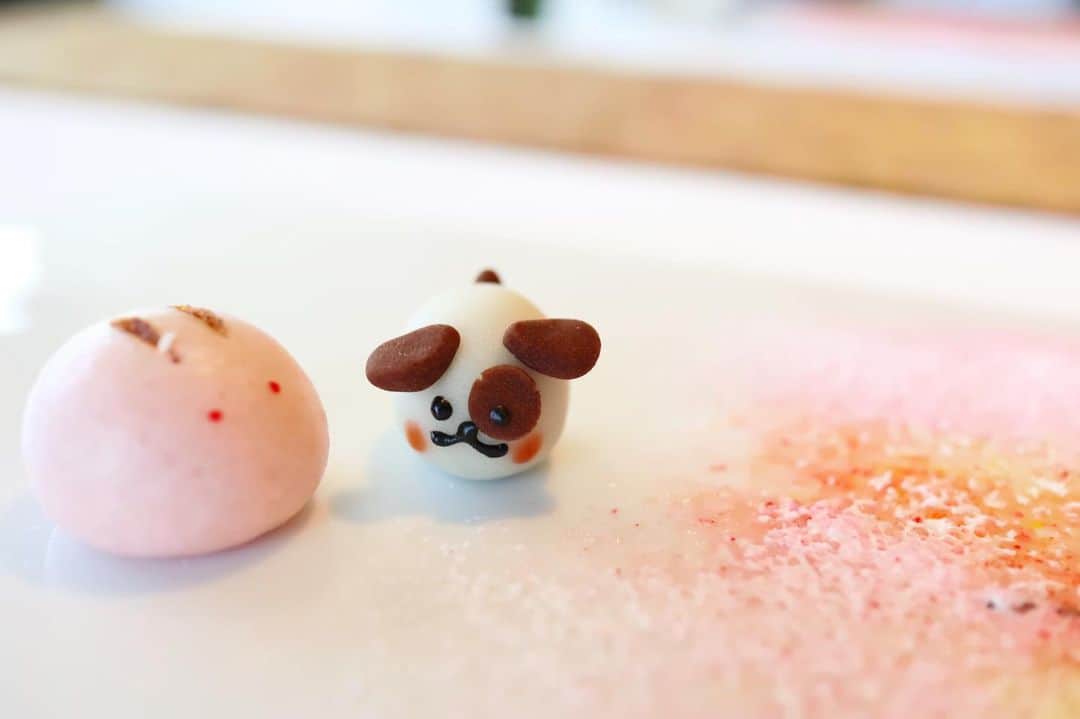 寿春花果のグルメインスタ