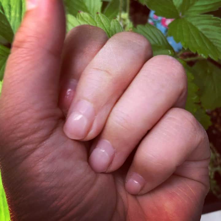 藤田朋子のインスタグラム