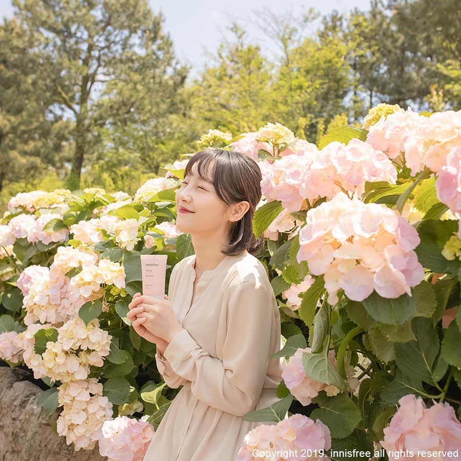 innisfree official (이니스프리) さんのインスタグラム写真 - (innisfree official (이니스프리) Instagram)「Let's go for a walk see the colorful hydrangeas ! ⠀⠀⠀ 알록달록 파스텔 톤으로 물든 수국 구경해요^‿^」5月22日 15時00分 - innisfreeofficial