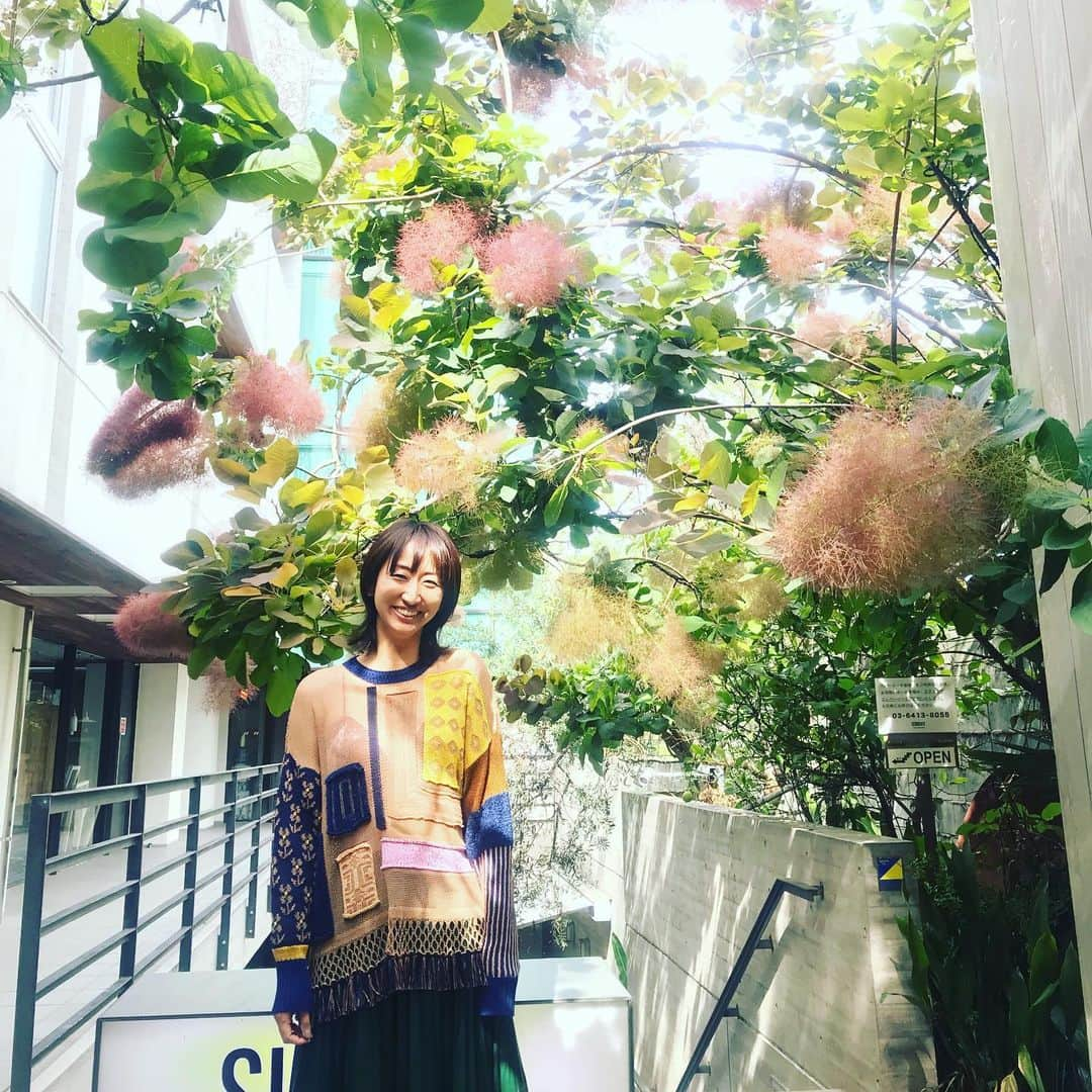 Ms.OOJAさんのインスタグラム写真 - (Ms.OOJAInstagram)「ルンヒャンとカフェランチ  旅話やら、 @tokyocritters.info  のワンマンライブの話やら、花が咲きました。 . そして最後にめっちゃ褒めながら写真撮ってくれました。あがるーーー！！w . ずっと欲しかったクリッターズロンTをゲットして、いつ袖を通そうかワクワクしてます。 . ありがとう @runghyang  次は私が写真撮るからね。 . #msooja #runghyang #tokyocritters #ロンT #ランチ」5月22日 15時49分 - msoojafaith