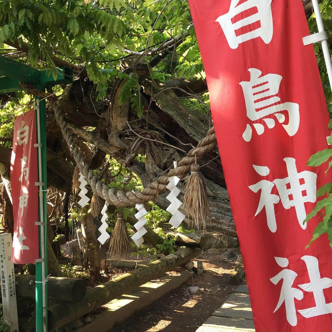宮城県観光課さんのインスタグラム写真 - (宮城県観光課Instagram)「蛇藤伝説が有名な白鳥神社はパワースポットで知られています。力を授かり、英気を養いにいらっしゃいませんか。#白鳥神社#蛇藤伝説#パワースポット#村田#宮城 #shiratori#murata#miyagi #power spot」5月22日 16時03分 - miyagi_pref_kankou