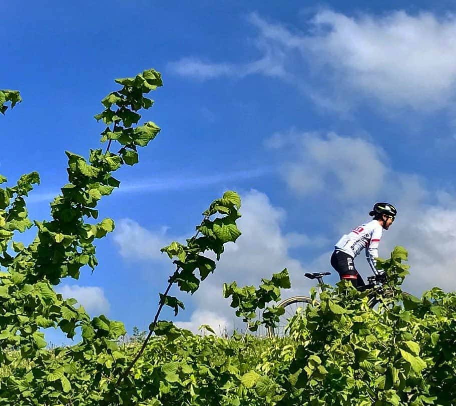 與那嶺恵理さんのインスタグラム写真 - (與那嶺恵理Instagram)「Just start my 2nd block of the season 🤘🏻in Spain @emakumeen_bira 🇪🇸 #UCIWWT  Do my best for our @alecipolliniteam best #yellowfluorange 💛🌼🧡 Enjoy to race with teammies 👭👭👭 . . & hope my legs to work well 🙏🏻 #IAmAle #alecycling #rudyproject #selleitalia #ursuswheels #NK1K #alecipollini #windtex #withDMT #enjoyyourride」5月22日 16時39分 - eriyonamine