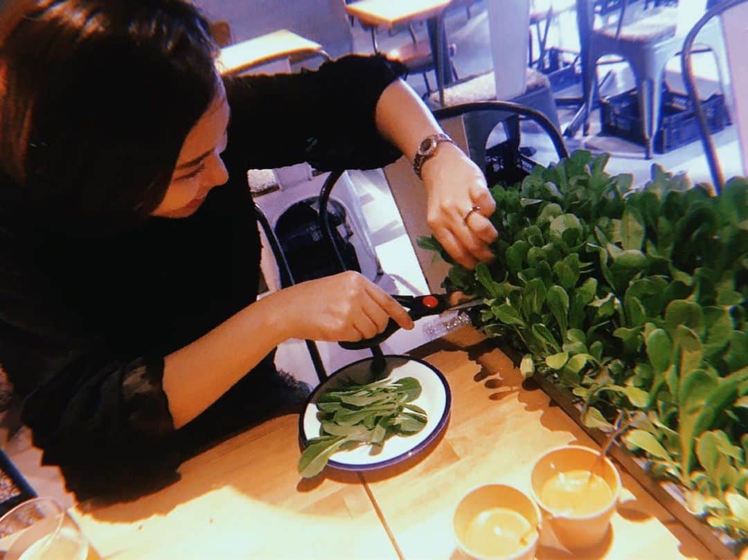 二宮愛のインスタグラム：「小さい頃、雑草取ってきてママゴトしなかった？？？ そんな感じ。笑 ________________ #wearethefarm #ベビーリーフ #収穫 #ウキウキ #ワクワク #ドキドキ #るんるん #誕生日おめでとう」