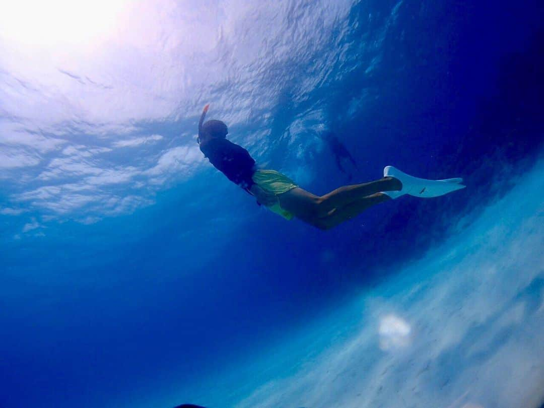 寺島速人さんのインスタグラム写真 - (寺島速人Instagram)「PANARI BLUE!! #新城島 通称#パナリ島 #スキンダイビング」5月22日 17時15分 - hayato_terashima