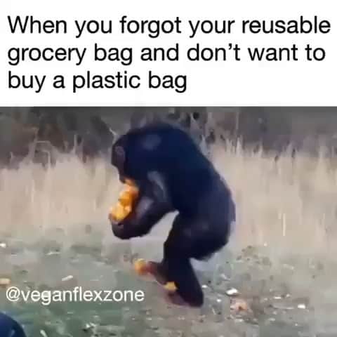 レナ・ヘディのインスタグラム：「🤣🤣🤣RELATE」