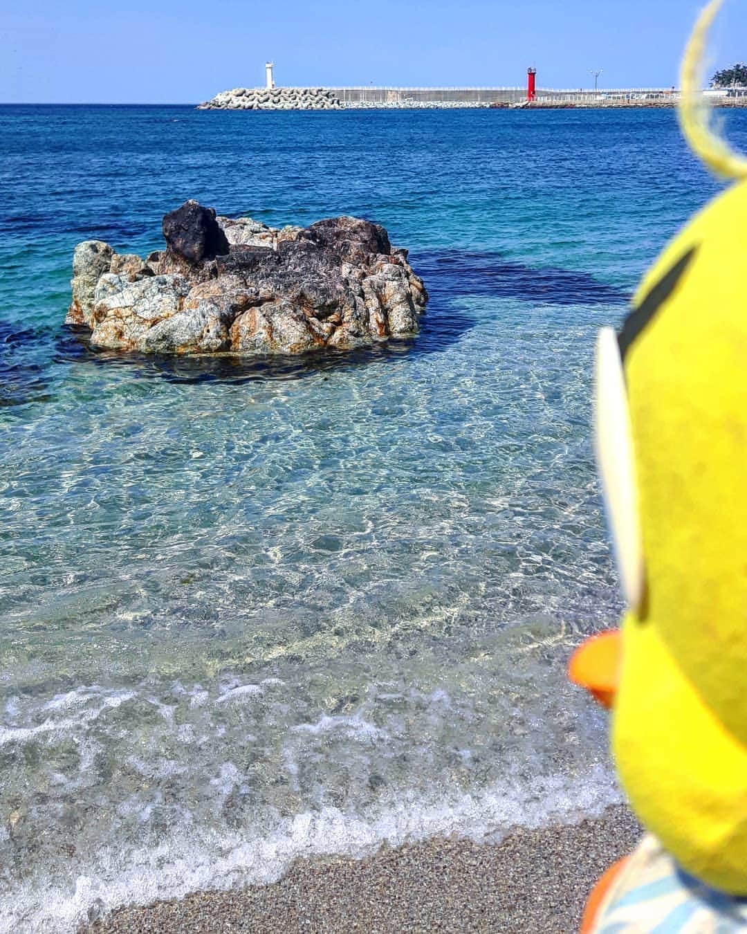 Little Yellow Birdさんのインスタグラム写真 - (Little Yellow BirdInstagram)「The Japanese Sea!! The water looks so tempting and clear, but brrrr...I'm pretty sure my feet aren't supposed to be blue!!! #littleyellowbird #tweety #tweetykweelapis #adventures #yellow #bird #jangho #janghobeach #beach #japanesesea #eastsea #clearwater #bluewater #bluesky #coldwater #southkorea #zuidkorea #korea #travel #traveling #wanderlust #lonelyplanet #stuffedanimalsofinstagram #plushiesofinstagram」5月22日 18時09分 - tweetykweelapis