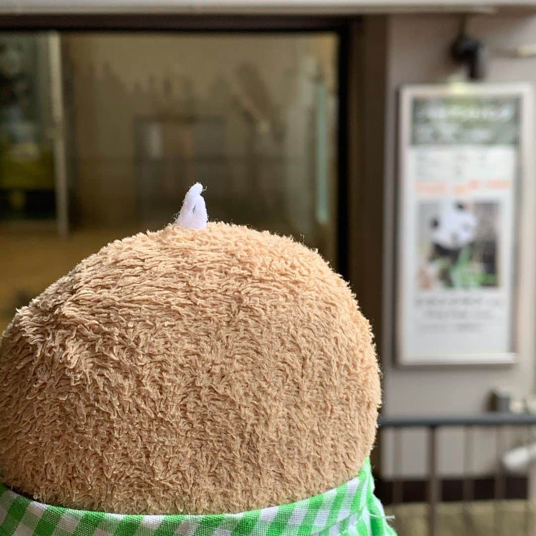 江口ともみさんのインスタグラム写真 - (江口ともみInstagram)「今日上野動物園行ってきたよ✨  動物園の事はまた改めてアップするね  上野と言えば行かなくてはいけないのはヤマシロヤさんだよね‼️ さらみがさぁ、ニヒルな顔のかぱくんとお喋りしてた。。。ん？  #fumofumosan #フモフモさん  #もぐたろう#ちゅん太#さらみ #上野#上野動物園 #ヤマシロヤ #かぱ#ニヒル」5月22日 18時14分 - tomomin.eguchi