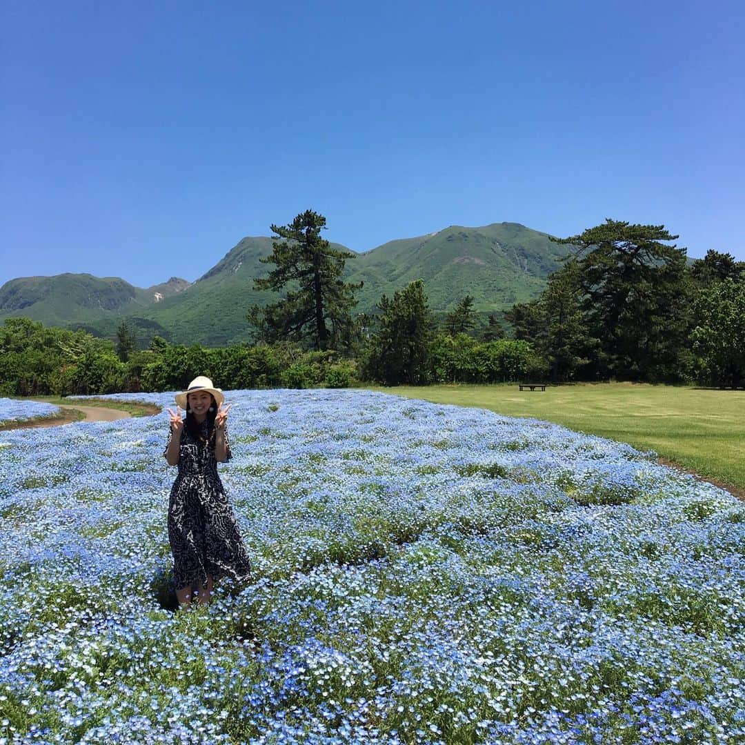 常盤よしこさんのインスタグラム写真 - (常盤よしこInstagram)「くじゅう花公園〜♫ お天気もよくて、 風が気持ちよくて、 お花に癒される一日🌼 薔薇はもう少し先かなぁ。 リビングストンデージー初めて見たけど可愛い。  #家族旅行#くじゅう花公園#くじゅう連山#大分#ネモフィラ#ベゴニア#リビングストンデージー#ポピー#ナデシコ#金魚草」5月22日 18時22分 - yoshiko.tokiwa