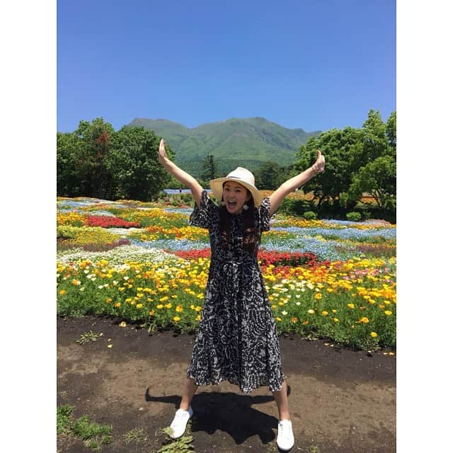 常盤よしこさんのインスタグラム写真 - (常盤よしこInstagram)「くじゅう花公園〜♫ お天気もよくて、 風が気持ちよくて、 お花に癒される一日🌼 薔薇はもう少し先かなぁ。 リビングストンデージー初めて見たけど可愛い。  #家族旅行#くじゅう花公園#くじゅう連山#大分#ネモフィラ#ベゴニア#リビングストンデージー#ポピー#ナデシコ#金魚草」5月22日 18時22分 - yoshiko.tokiwa