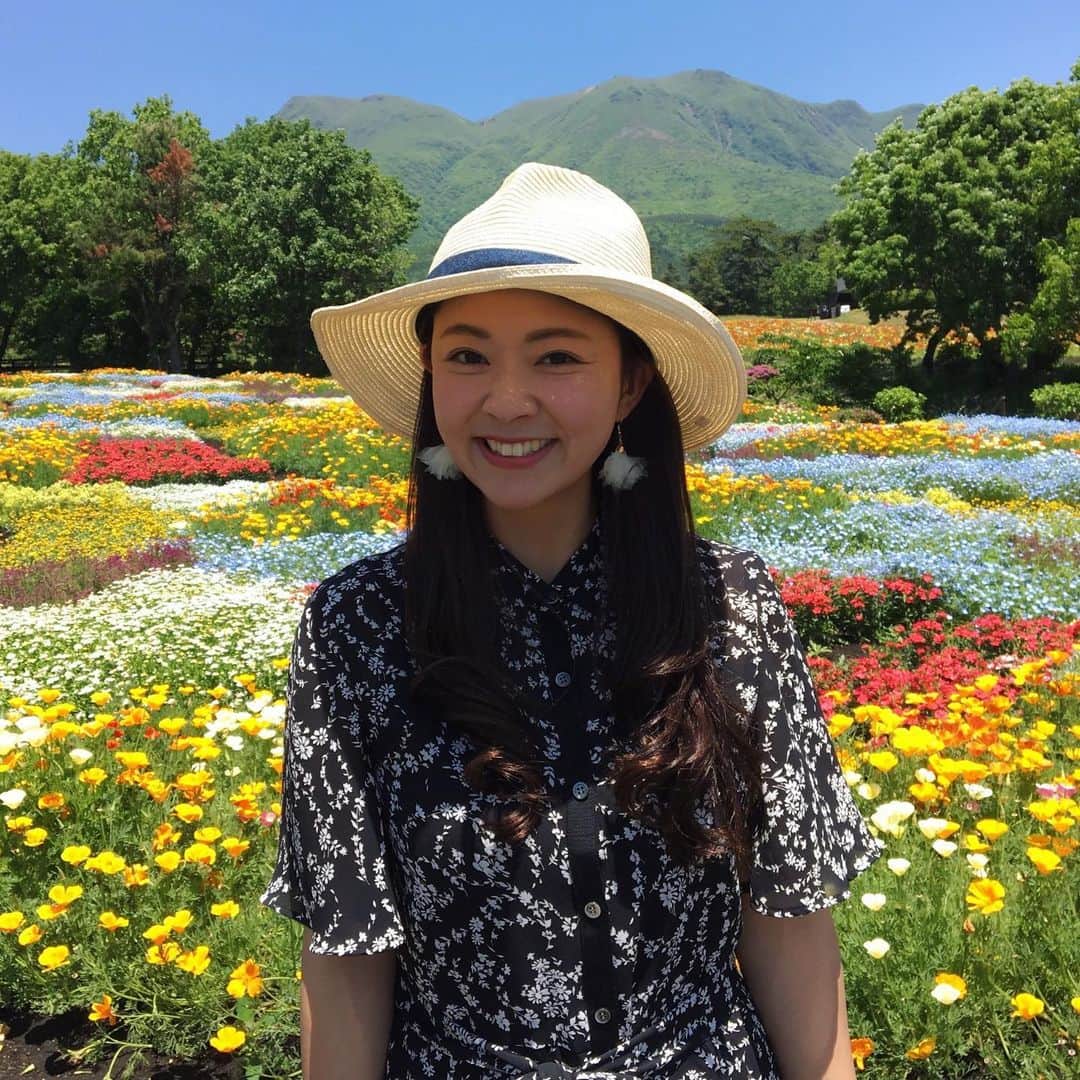 常盤よしこのインスタグラム：「くじゅう花公園〜♫ お天気もよくて、 風が気持ちよくて、 お花に癒される一日🌼 薔薇はもう少し先かなぁ。 リビングストンデージー初めて見たけど可愛い。  #家族旅行#くじゅう花公園#くじゅう連山#大分#ネモフィラ#ベゴニア#リビングストンデージー#ポピー#ナデシコ#金魚草」