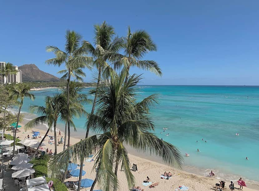 彩田真鈴さんのインスタグラム写真 - (彩田真鈴Instagram)「🌴🌴 #hawaii #ハワイ #旅行 #海外旅行 #ハワイ旅行 #海 #beautiful #beach #l4like #l4l #f4f #instagood #instalike #fff #instafollow」5月22日 18時47分 - marin05231