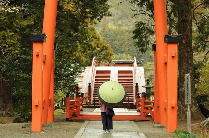 Visit Wakayamaさんのインスタグラム写真 - (Visit WakayamaInstagram)「. Meet the deities of Niutsuhime Shrine, guardians of Koyasan. #Niutsuhime #Shrine 📸: @koya.photo」5月22日 19時02分 - visitwakayama