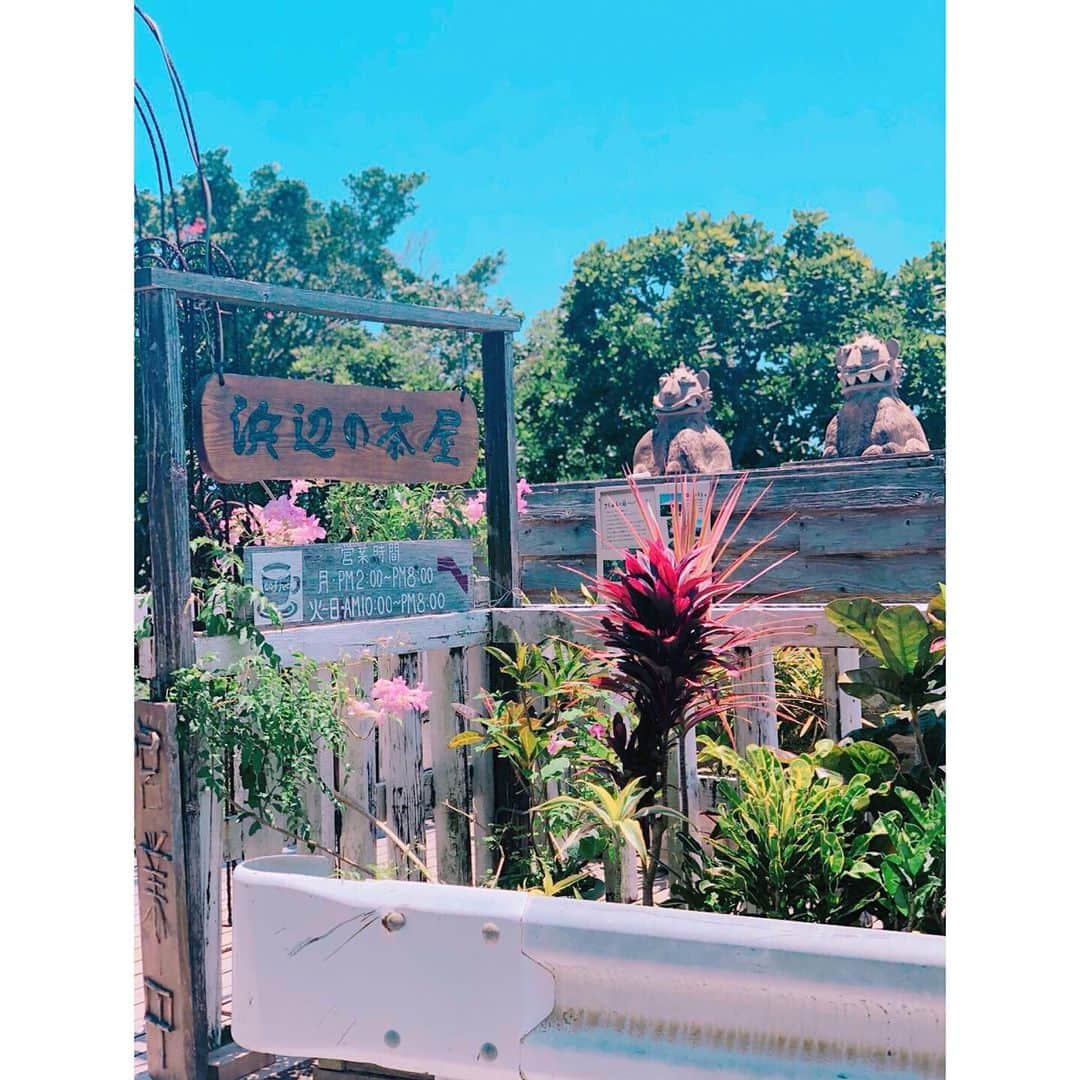 菊井彰子さんのインスタグラム写真 - (菊井彰子Instagram)「沖縄旅行最終日、３日目。 #浜辺の茶屋 🏖 名前の通り、目の前が海🌊 景色を眺めながらゆったりできるカフェ。 風が気持ち良くてホッと一息つける空間。 いつまでもいたいと思える場所。 満潮の時に次は行ってみたいな❤︎ 本当に行ってよかった。 #okinawa  #okinawatrip  #okinawajapan  #沖縄  #沖縄旅行  #産前旅行 #沖縄カフェ」5月22日 19時10分 - yanakiku_kiku