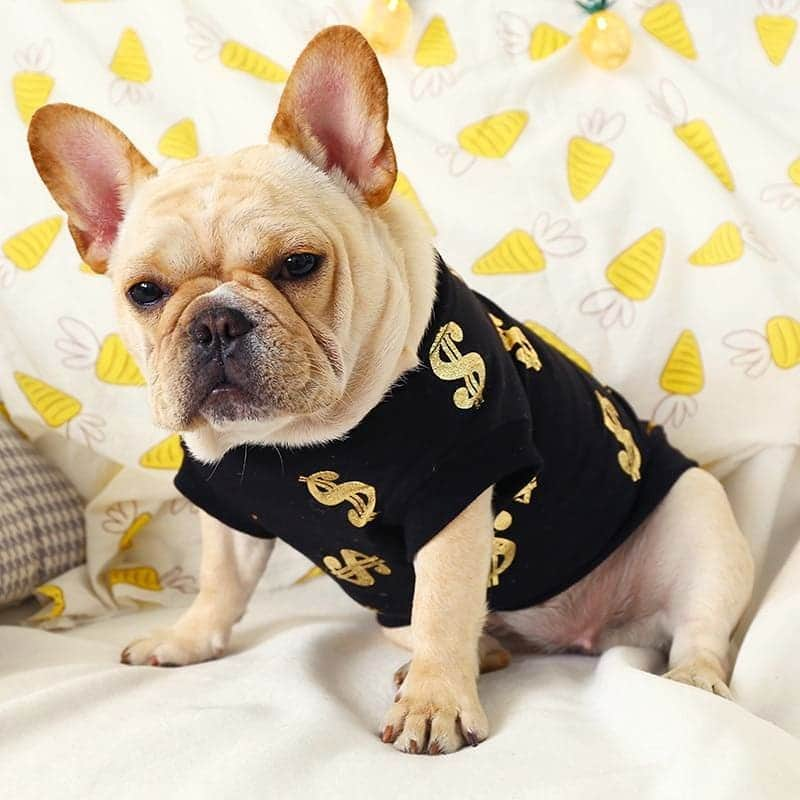 French Bulldogのインスタグラム