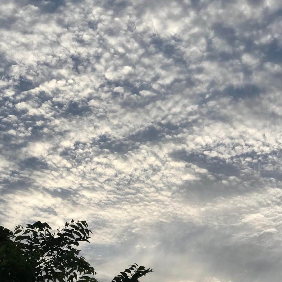 Yuuki mimuraさんのインスタグラム写真 - (Yuuki mimuraInstagram)「久しぶりに#東京ディズニーシー ( @tokyodisneyresort_official )へ…🌎✨ 歳を重ねるごとに朝から晩まで居るのは厳しいと実感… 笑笑💦💦💦 でも天気も良くて楽しかった🌞✨ . #うさぴよ かわいかった🐇🐣✨ . . #tokyo #tokyodisneysea」5月22日 19時04分 - u0829u