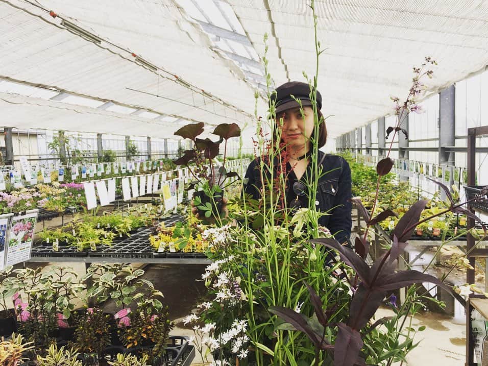 今村沙緒里のインスタグラム：「植物たちと。 選び中🌱🌿💚 Photo by Yuriko Takagi ・ #nature #plant #flower #life #gardening #love #자연 #꽃 #예쁘다 #花 #自然 #軽井沢 #クレマチス #植物係 #たくさん選んでたくさん植えたよ」