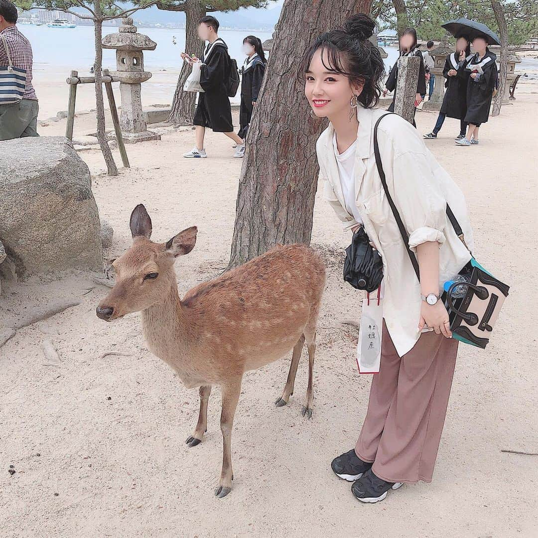 天野ゆうかさんのインスタグラム写真 - (天野ゆうかInstagram)「帰り際に🦌さんと。 #神様の使い . . . 食べ物の匂いを察知したのか、 立ち去る時に背後からシャツかじられました🚶🏻‍♀️🦌💥笑 . . . . #広島 #広島旅行 #厳島神社 #宮島 #観光地  #女子旅 #🦌 #仲良く戯れてたのに #背後からいきなりは反則 #びっくりしてギャーゆうた😱 #シャツ破れんでよかった #それでもやっぱり動物は可愛い #trip #tripgirl #ゆうとも旅 #일본여행」5月22日 19時43分 - yucca_official