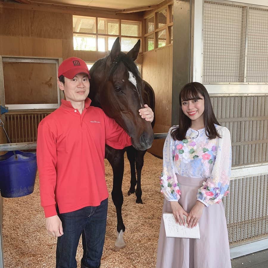 國嶋絢香のインスタグラム：「日本ダービー🏇全頭取材🎤✨ . 写真は、G1初騎乗の横山武史ジョッキーとの新コンビで松永幹夫厩舎初のダービーに挑むリオンリオン🐴❤️ . 脚がスラっと長くて、背の高いリオン氏。 タフな2,400m戦が続きますが、その辺りがどうなのか！？ しっかり調べてきました😉👌🏽 . 2枚目は、横山武史騎手とのインタビューの様子を山口みかんさん🍊が撮っててくださいました✨ 初ダービーを目前に落ち着きのある20歳😮 もぅ、頑張れ〜❣️の気持ちでいっぱいです。 . #バッタバタの出走馬全頭取材 #トレまるチームの達成感  #もちろんラヴズオンリーユーのおめでとうにも💐✨ #お花で溢れかえる矢作厩舎  #取材馬が勝ってくれるのはとにかく嬉しい💖 #今週も！！！ #オンエアお楽しみにです♪」