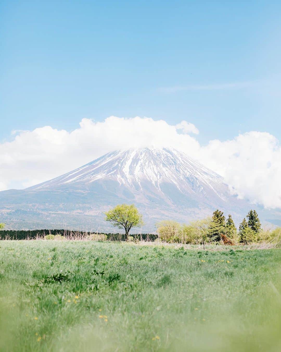 fuka_09さんのインスタグラム写真 - (fuka_09Instagram)「﻿ Mt. Fuji﻿ ﻿ ﻿ 明日は軽井沢で撮影🌿﻿ ﻿ 全国どこでも出張撮影に﻿ 伺いますよ〜 𓅯𓏲﻿」5月22日 19時52分 - fuka_09