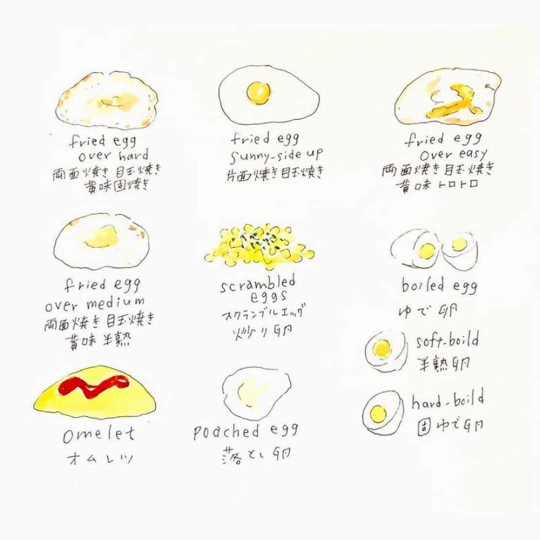 ハルペイさんのインスタグラム写真 - (ハルペイInstagram)「🍳 今日はね、 #たまご料理の日  だよ！  #たまご#卵#卵#egg#たまご料理 . 海外行くと、朝ごはんでだいたい卵料理を スマートに注文できない問題…😗 . 目玉焼き食べたいけどわからないから スクランブルエッグとか言っちゃうね😣 . #harupei#doodle#draw#drawing#illustrator#illustration#japan#絵#雑貨#湘南#イラスト#イラストレーター#ゆるいイラスト#ゆるい#ゆるかわ #茅ヶ崎」5月22日 20時11分 - harupeipei