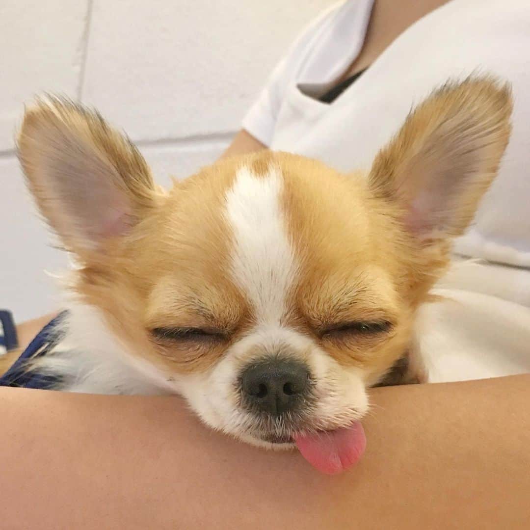 ちまのグルメインスタ