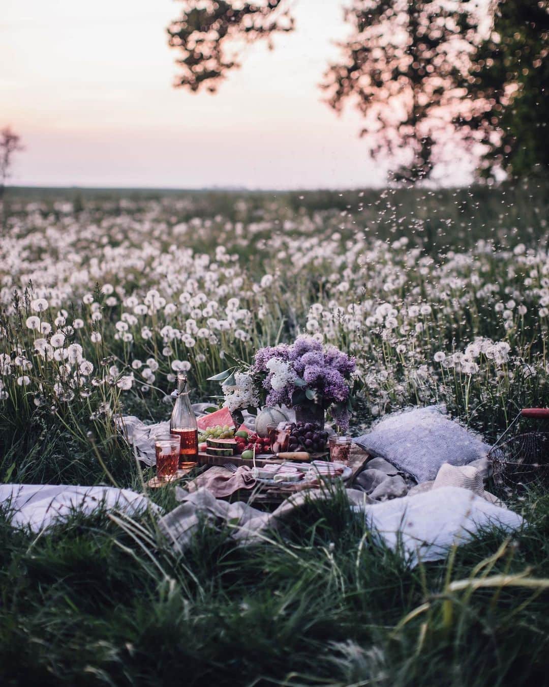 Our Food Storiesさんのインスタグラム写真 - (Our Food StoriesInstagram)「Love all the dandelions on the fields right now🌿 Last year we found this magical spot, perfect for a little picnic, right? 🤗 See more photos on the blog, link is in profile. #ourfoodstories_countryside  ____ #summerrecipes #dandelions #countrysidelife #countrysideliving #countrysidewalks #houseandgarden #momentsofmine #germanfoodblogger #summerrecipes #fellowmag #saveurmag #simplejoys #picnicfood」5月22日 22時06分 - _foodstories_