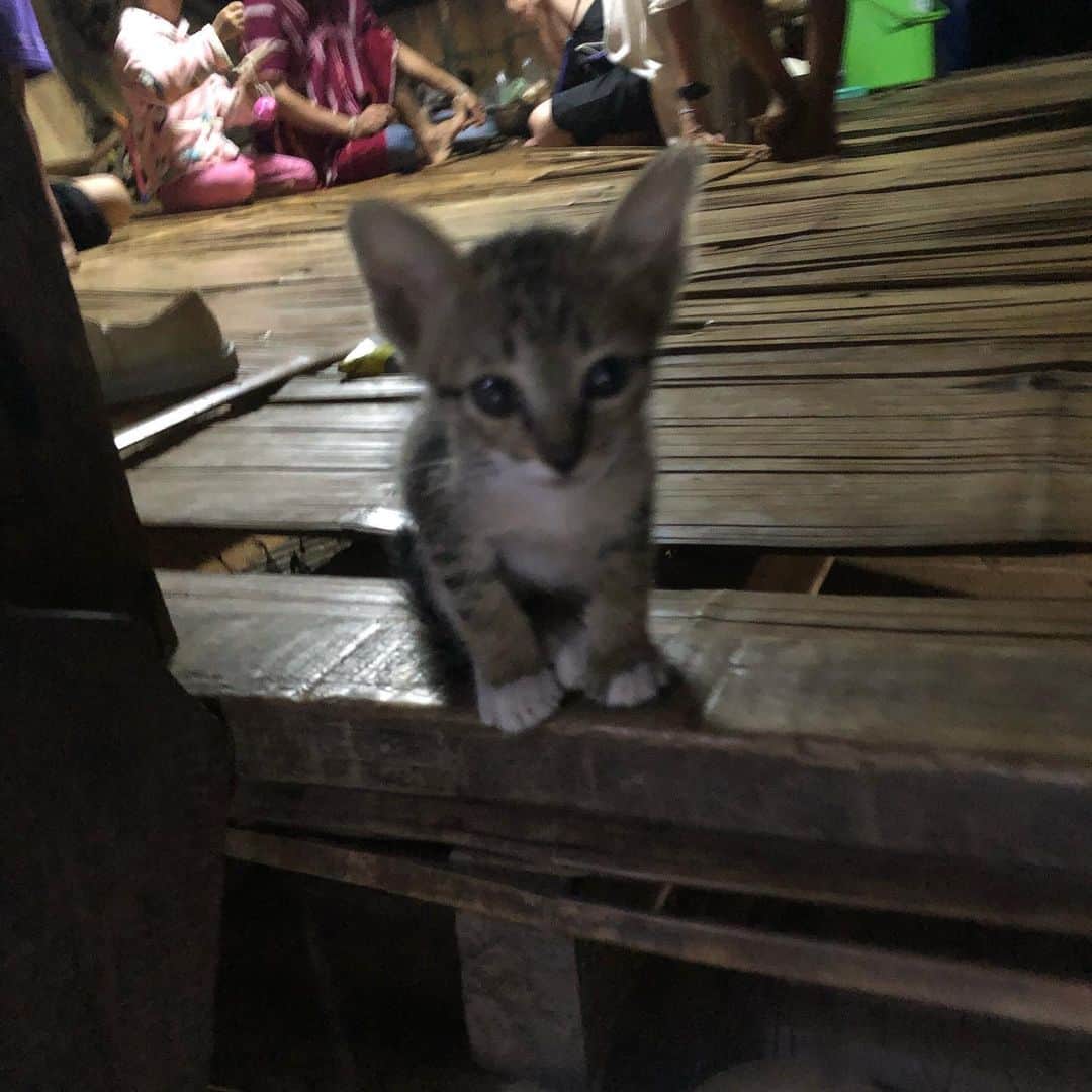 てっぺいさんのインスタグラム写真 - (てっぺいInstagram)「本日泊まる宿。 タイ北部のリーという村。 カレン族のお家です。 小さい猫もいて、とても温かい家庭です。 小さい頃のおばあちゃん家を思い出します。 #タイ #リー #カレン族 #ホームステイ #ナイスてっぺー」5月22日 22時16分 - nice_teppee