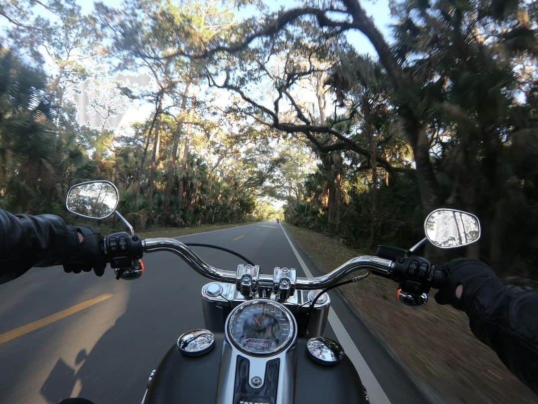 Harley-Davidsonさんのインスタグラム写真 - (Harley-DavidsonInstagram)「Any day #BehindBars beats a day at work. 🔥  #FindYourFreedom #HarleyDavidson」5月22日 23時00分 - harleydavidson