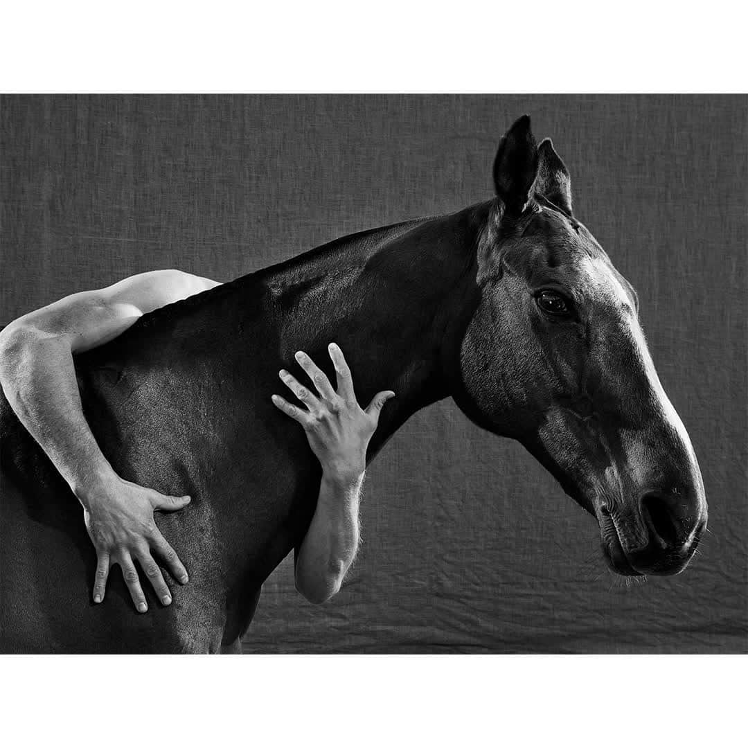 ハケットのインスタグラム：「MANO MORA 2, 2019 ULI WEBER  Hackett London are proud to present the first ever retrospective of Polo this 23rd May at Christie's Auction House, London, with exclusive photographs by @uliweber.  Introducing one of the most celebrated photographers, @uliweber, Uli explores Hackett's relationship with British Army Polo while developing a body of work capturing the fascinating topic of 'man and beast'. Exclusive pieces commissioned by Hackett to mark this moment are on display at Christie's on the 23rd May, and available to purchase online at the link in bio with all proceeds going to the UKAFPA Foundation @BritishArmyPolo. #HackettXPolo150」
