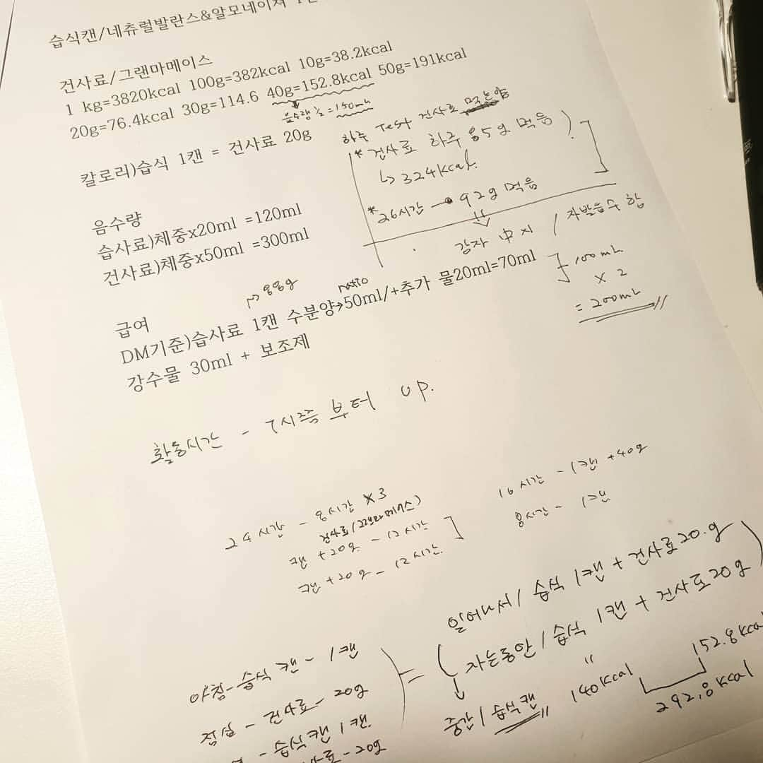 ソン・ジェリムさんのインスタグラム写真 - (ソン・ジェリムInstagram)「. For leon 2월부터 쓴 식단&케어 일지 레옹 식단 수정중 10살이셔서 음수량 케어를 해줍니다 무엇이 널 위한 최선의 루틴일까  아직까진  고요한 폭풍전야의 촬영 스케쥴인듯한대.. 들쭉날쭉한 스케쥴인데  암만봐도 습사료만으로는 칼로리 채우기가 모자를터 하는수없이.건사료도 줄 수 밖에 없는걸까  한번에 다 다먹어주면 좋으련만  너의 입은 한자리에서 40그램이 최선 밥들고 2시간뒤 내밀어주면 20g정도 먹지 꼭. + 집사고민 다 똑같죠. 여름은 음식이 상온에서 오래 못가고.. 일은 하는데 밥 챙겨주는 시간 챙기기 어려운거 ㅎ #고양이#물연비#신장관리」5月22日 23時53分 - jaelim_song