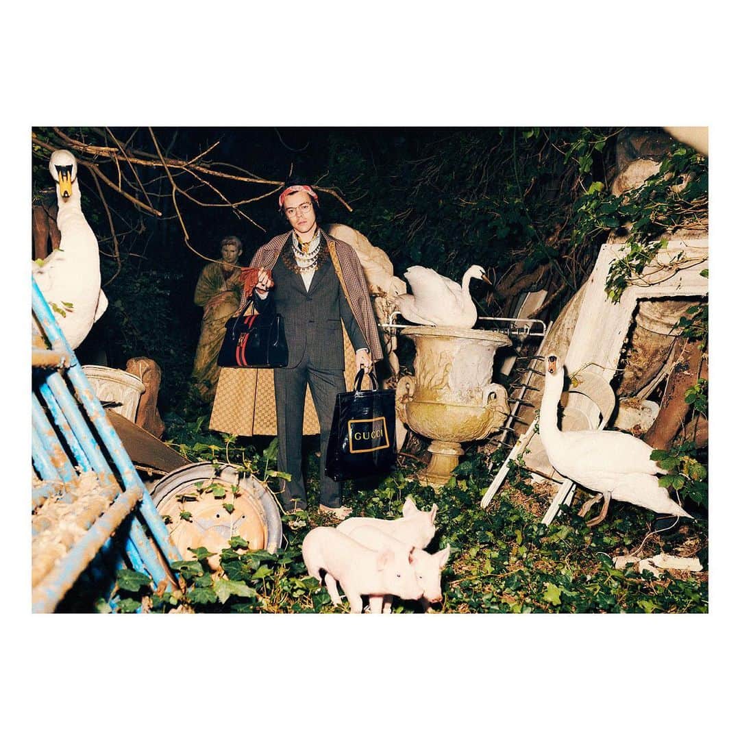 グッチさんのインスタグラム写真 - (グッチInstagram)「@harrystyles wears a 70s inspired houndstooth coat, a wool suit and new men’s bags from the latest #GucciTailoring collection designed by @alessandro_michele. Discover more through link in bio. #AlessandroMichele #GucciPreFall19」5月23日 0時16分 - gucci