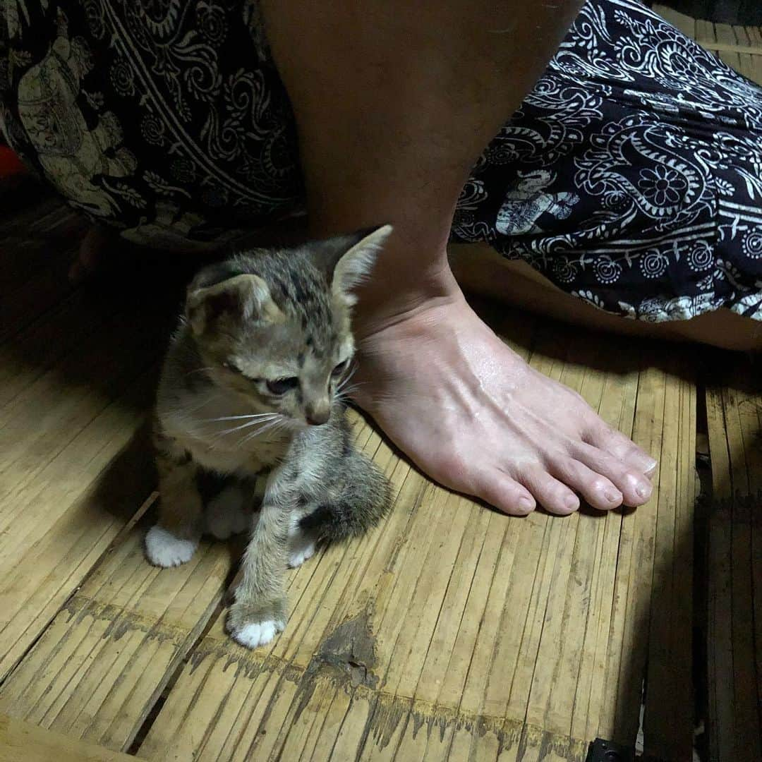 てっぺいさんのインスタグラム写真 - (てっぺいInstagram)「首長族のカレン族の家にホームステイ。 シャワーはこんな感じで浴びる感じです。 お家の人もめちゃくちゃいい人ばかり！ 夜は涼しいし、子猫もたくさんいて、虫の鳴き声聴きながら寝ます。 そういえば首が長くないことに気づきました。 綺麗な人多いです。 #タイ 北部 #リー #カレン族 #首長くない」5月23日 0時43分 - nice_teppee