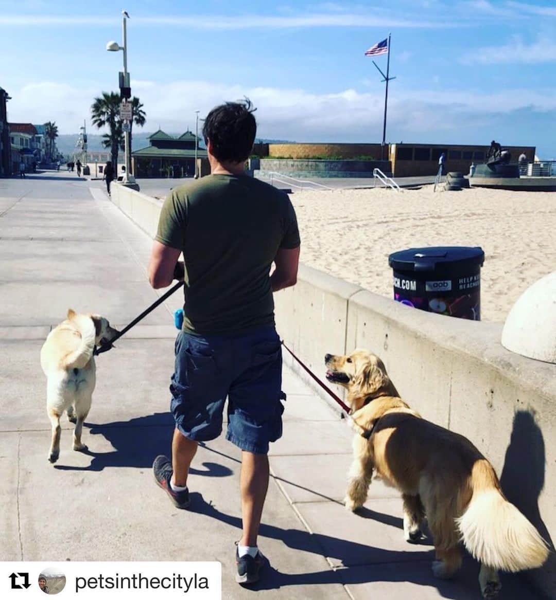 エリン・アンドリューズのインスタグラム：「Beach 🍑🍑 @petsinthecityla “Ohhhhhhhhh goooood boooooys Howie & Eddie”」