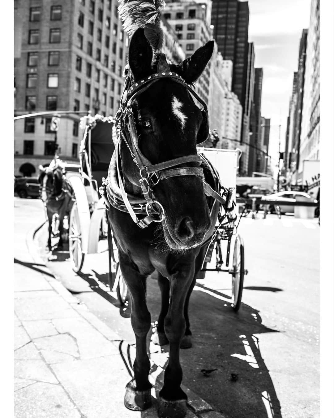 ハウィー・ケンドリックさんのインスタグラム写真 - (ハウィー・ケンドリックInstagram)「Blinders. #leicaq #nyc #blackandwhite」5月23日 1時41分 - hkendrick47