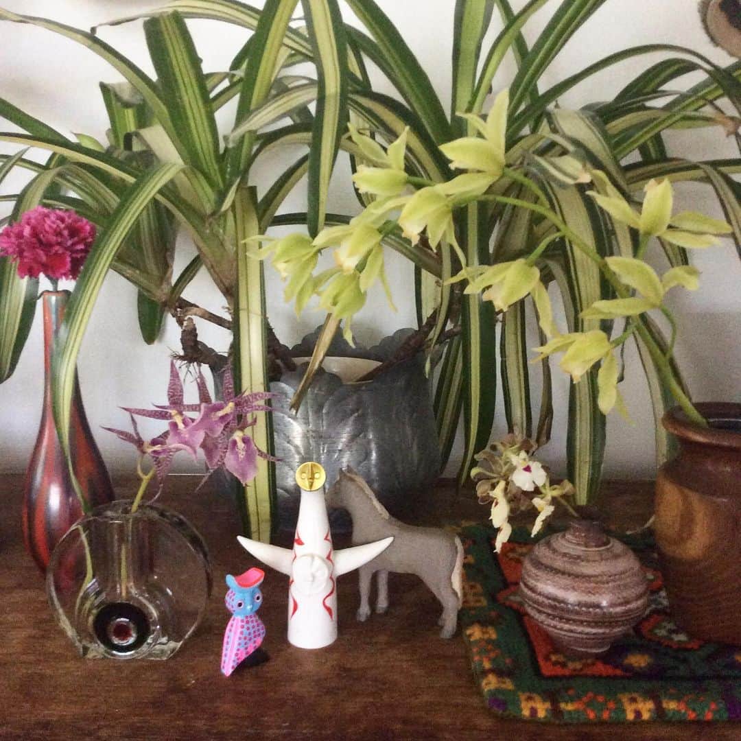 丸山敬太さんのインスタグラム写真 - (丸山敬太Instagram)「最近は蘭とか飾るのが好き。 色んな種類があって楽しい。 好きでフラワーベースを集めてしまう。」5月23日 1時42分 - keitamaruyama