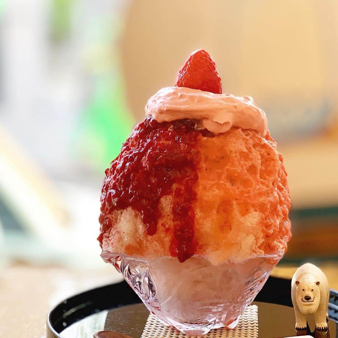 のインスタグラム：「美人姉妹が日本のカキ氷に惚れ込み始めたお店、プビン。  季節限定のメニューも続々登場。  5 20日のブログに詳しく。 https://ameblo.jp/momo-tane/entry-12460801934.html  プロフィールから飛んでくださいね。  笑顔どうりの優しくてホッとするお店です。  美味しくて、三杯食べちゃった。。 ソウルに行ったら、おススメのお店です。  また行きますねー😚  #부빈 #カキ氷#ソウルグルメ#韓国旅行#韓国グルメ#cafe#プビン#かき氷#여행룩#seoul#seoulcafe #빙수#ピンス#タビジョ#一人旅#一人ご飯#sweets#ice#お気に入りカフェ#お気に入りソウル#韓国撮ってみた#jalで世界まんぷく旅」