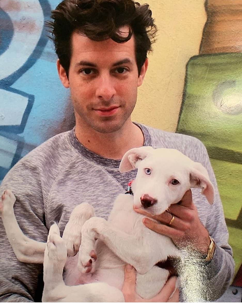 BBC Radioさんのインスタグラム写真 - (BBC RadioInstagram)「markronsonwithrescuedogs.tumblr.com 🥰  SO excited to see Mark headline Friday night at #BigWeekend. 📸 @iammarkronson」5月23日 2時03分 - bbcradio1