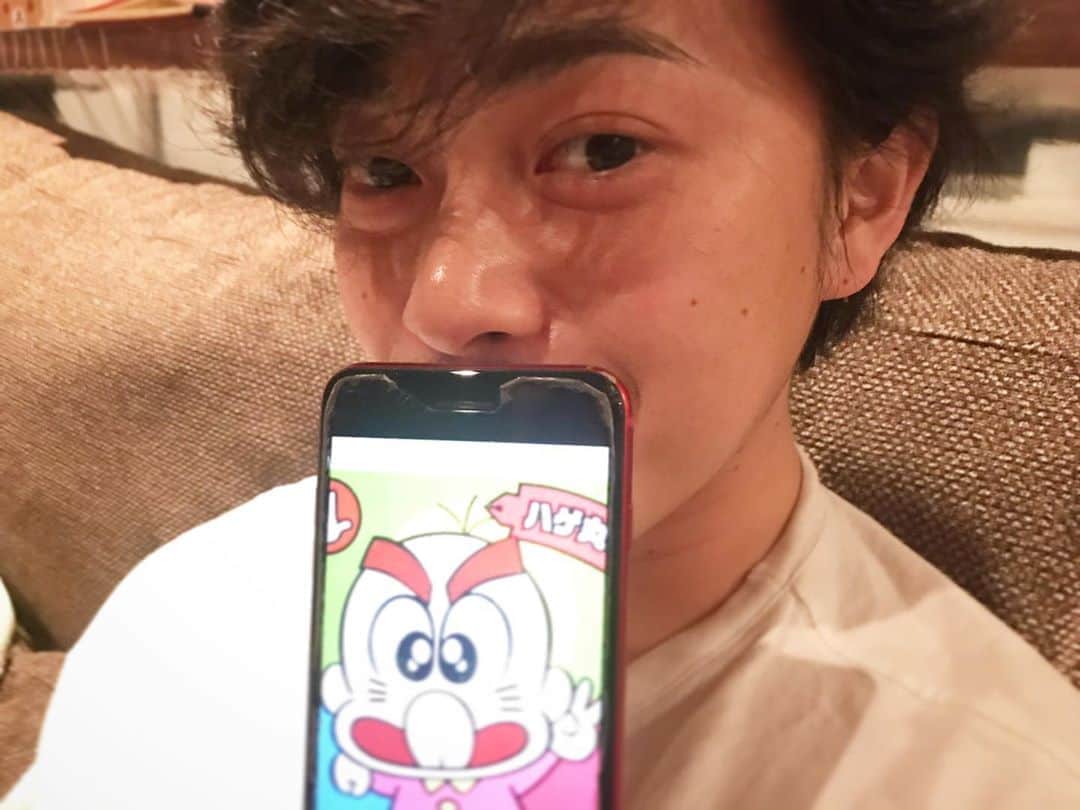 前田敦子さんのインスタグラム写真 - (前田敦子Instagram)「ずっと思ってたんだけど、 うちの子この子にそっくりだねって。 やっと見つかったよって。 うん、似てる笑 おやすみなさい🌛」5月23日 2時04分 - atsuko_maeda_official