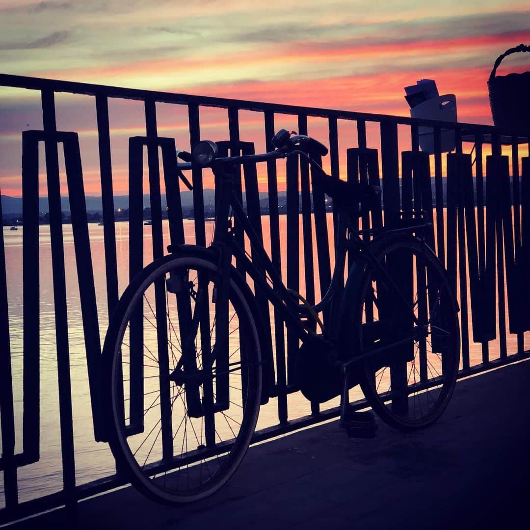 ミーシャ・コリンズさんのインスタグラム写真 - (ミーシャ・コリンズInstagram)「Ugh. In Sicily, there are so many bicycles and baskets and intricate iron work that you can’t get a good shot of the sunsets.」5月23日 2時45分 - misha