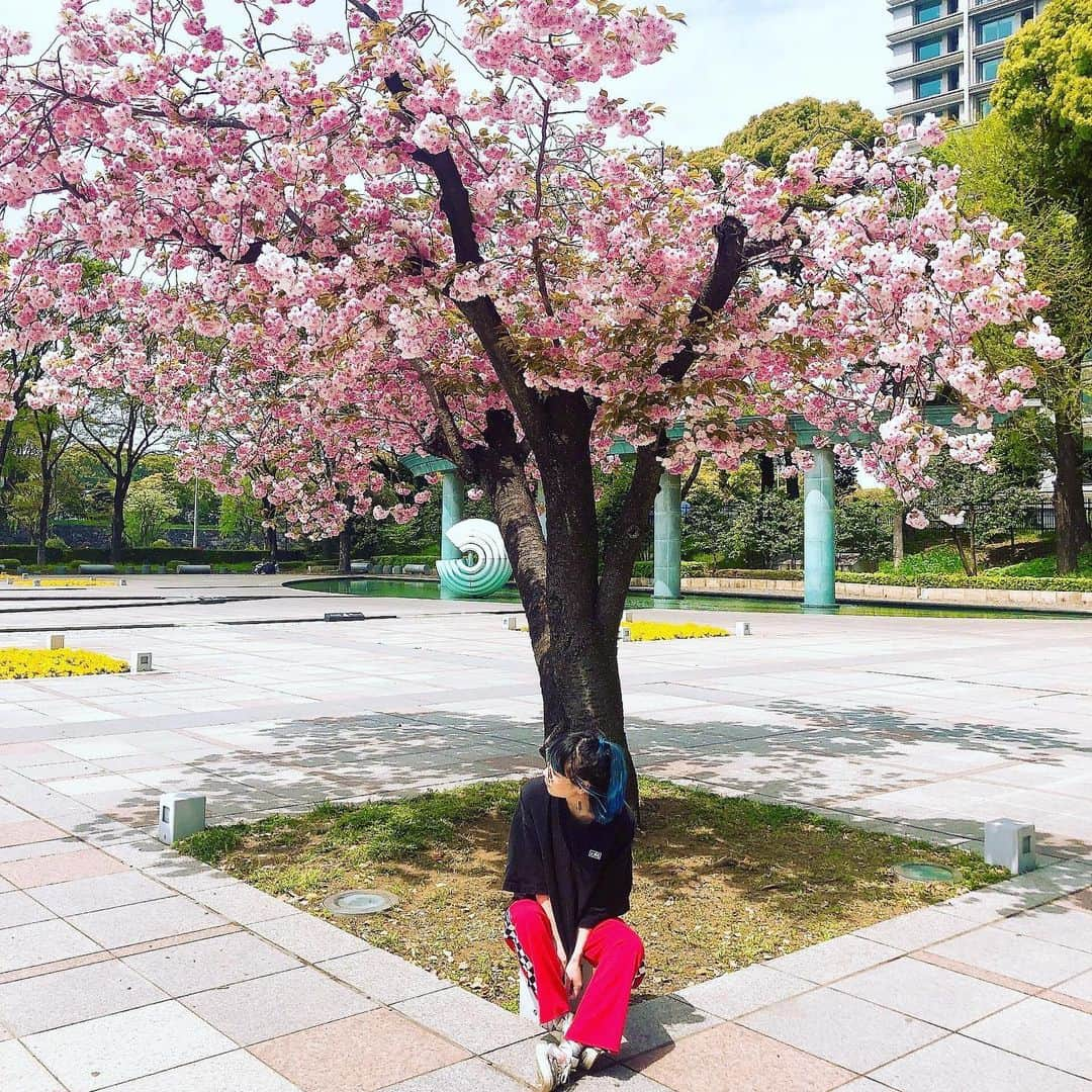 SAKIのインスタグラム：「お久しぶりみなさん。 おれは元気にしています😊 オレスカの最強にワクワクする情報をメンバーからいち早く聞きました🙌☺️✨ 早く言いたい！w  季節遅れの桜ちゃん写真🌸 いつでも満開に生きて行きませう😌」