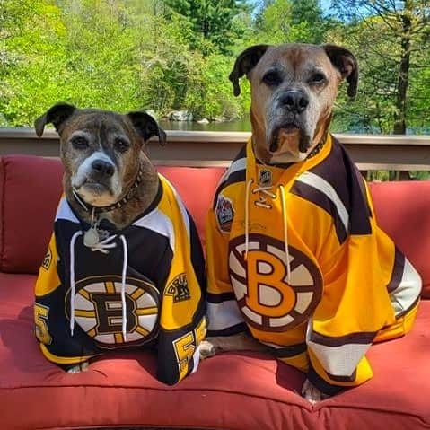 NHLさんのインスタグラム写真 - (NHLInstagram)「Live look-in at @nhlbruins fans waiting for the #StanleyCup Final... #MyPlayoffsMoment (📷 FB/Jenn Gren)」5月23日 3時34分 - nhl