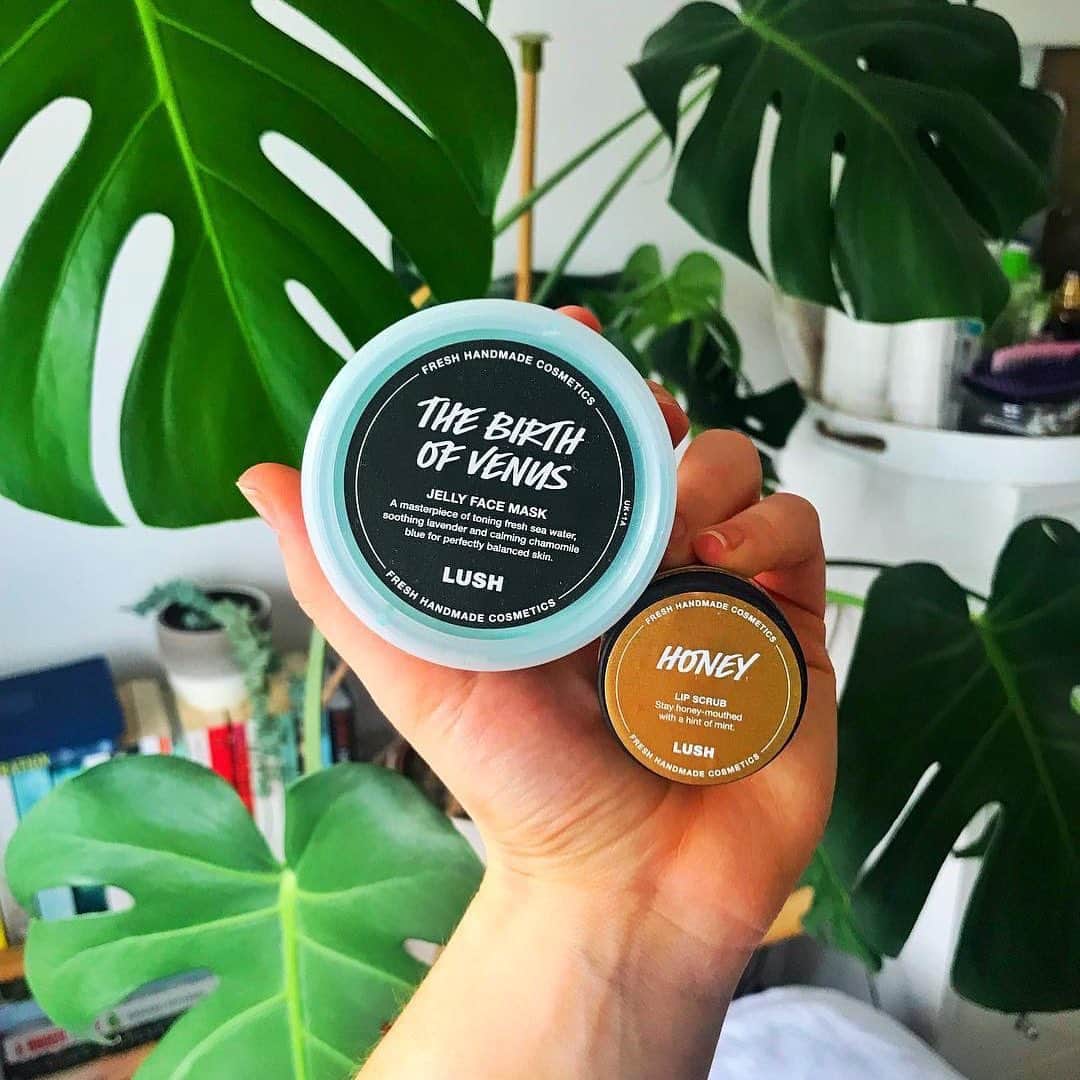 LUSH Cosmeticsさんのインスタグラム写真 - (LUSH CosmeticsInstagram)「Dreaming of this #SummerSkincare routine. The Birth Of Venus Jelly Face Mask is full of lavender to soothe summer redness and irritation, and Honey Lip Scrub ensures your lips are bee-autifully soft. ☀️☀️☀️/ 📷: @hannahvrose_fitness」5月23日 4時02分 - lushcosmetics