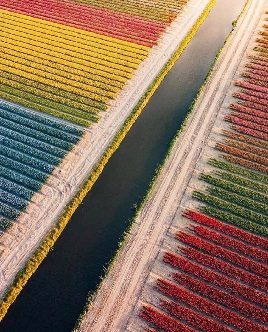 Anthropologieさんのインスタグラム写真 - (AnthropologieInstagram)「Your daily dose of color 🌈 Photo by @wonguy974」5月23日 4時01分 - anthropologie