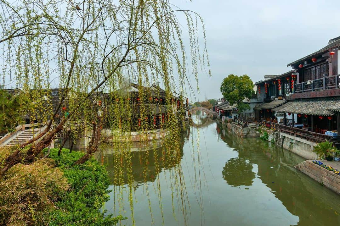 Michael Yamashitaさんのインスタグラム写真 - (Michael YamashitaInstagram)「Xitang is a historic water town crisscrossed by nine rivers, numerous canals, and many old-fashioned stone bridges. It dates back to the Spring and Autumn period (770BC-476BC), with many well preserved buildings dating back to the Ming Dynasty (1368-1644). #Zhejiang #watertown #canal」5月23日 4時29分 - yamashitaphoto