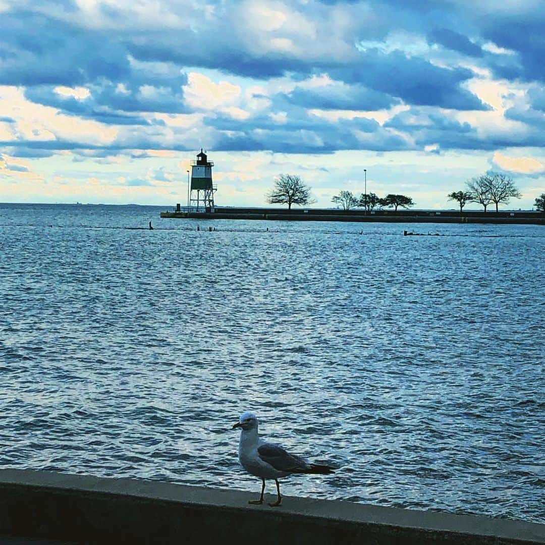 ZAQさんのインスタグラム写真 - (ZAQInstagram)「ミシガン湖と海猫。  いいかんじ。 #USA #ACen2019 #ZAQinChicago」5月23日 4時50分 - zaq39