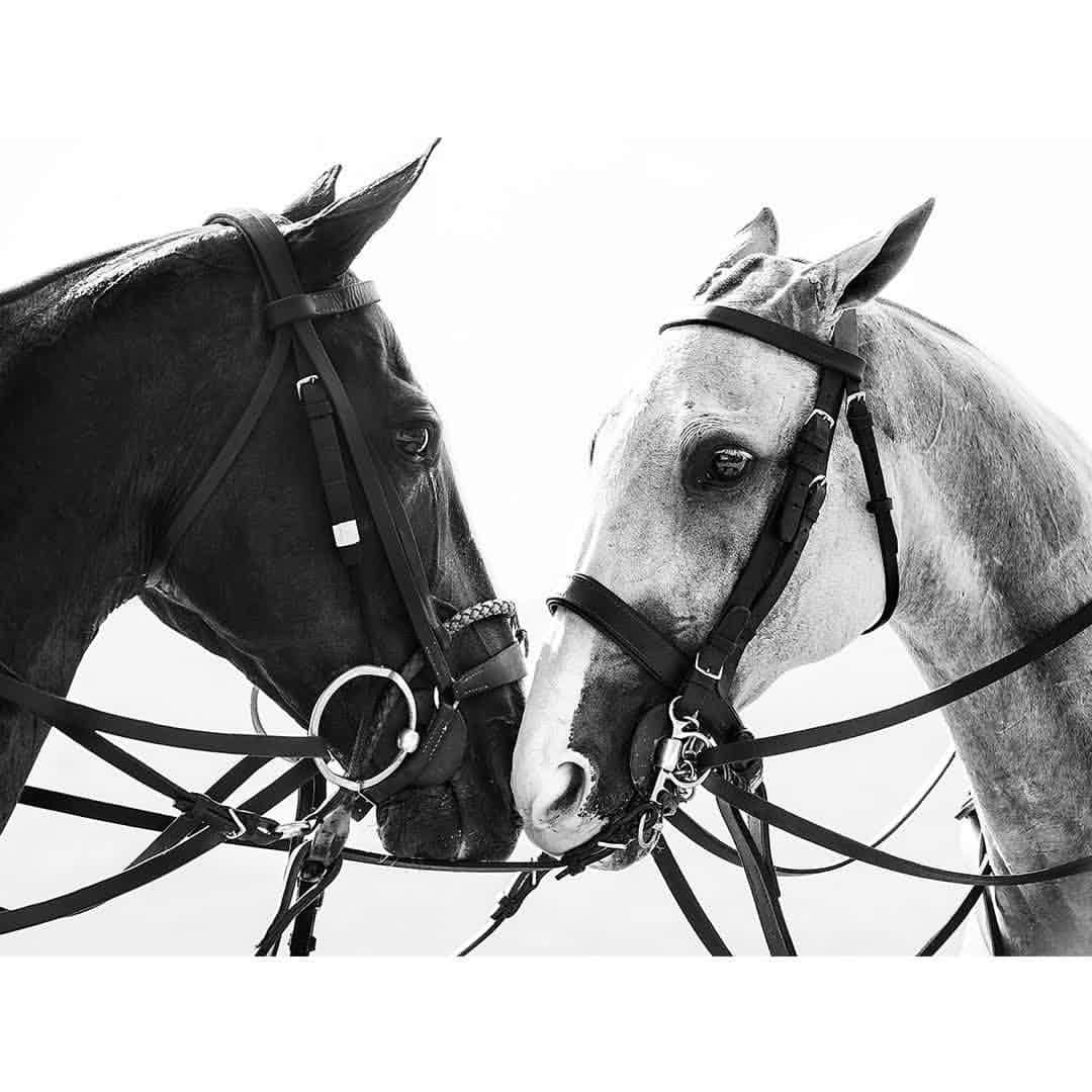ハケットのインスタグラム：「YIN AND YANG, 2014 IRINA KAZARIDI  Hackett London are proud to present the first ever retrospective of Polo this 23rd May at Christie's Auction House, London, with photographs by @irinakazaridi.  The beauty of polo, its horses and landscapes inspire @irinakazaridi's work. Discover the emotional bond between a man and his horse through her photographs which are on display during our exhibition in partnership with @BritishArmyPolo. #HackettXPolo150」