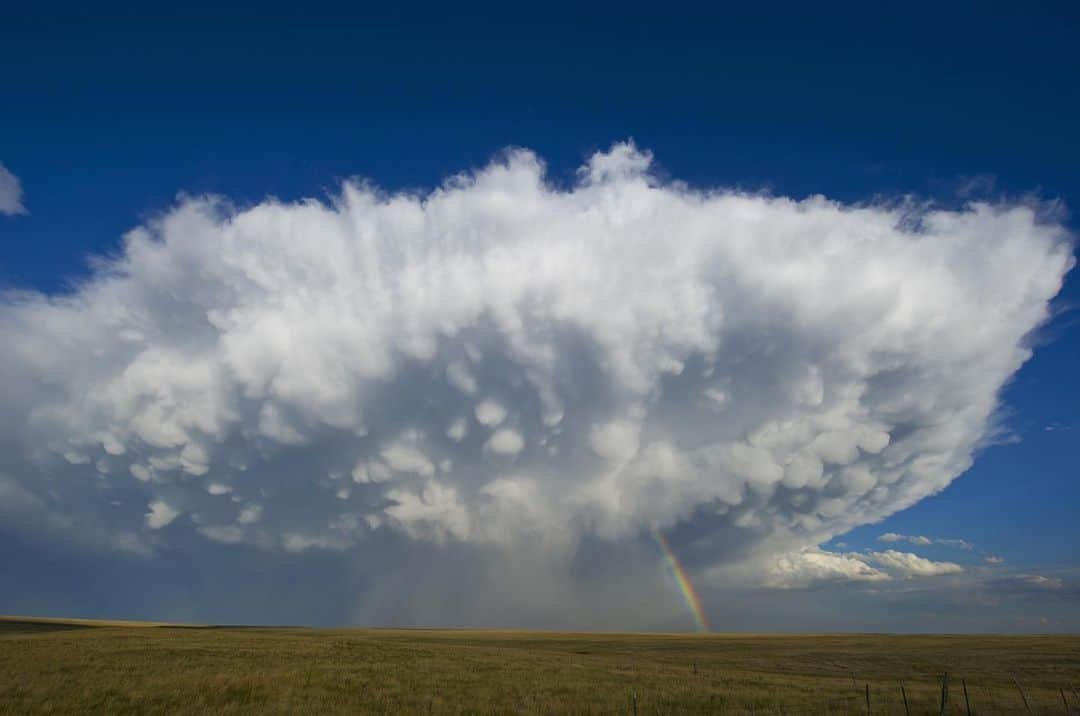 National Geographic Creativeさんのインスタグラム写真 - (National Geographic CreativeInstagram)「Photo by @carstenpeter | A rainbow emerges from a sky full of clouds signaling the end of a rain storm in Cheyenne, Wyoming. #Clouds #Rainbow #Wyoming」5月23日 5時03分 - natgeointhefield