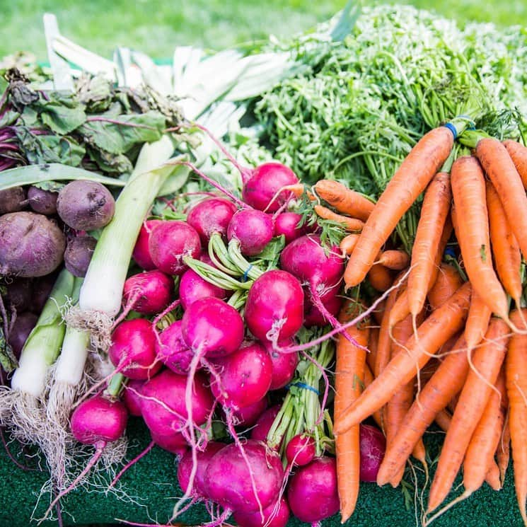 ニューヨーク植物園さんのインスタグラム写真 - (ニューヨーク植物園Instagram)「Wellness Wednesdays are just around the corner, kicking off on June 12 with health and wellness activities, cooking demos, and of course the return of our fan-favorite NYBG Farmers Market. We’re also hosting a discussion with @micheleokadoner, our Artist in Residence in this year of #plantlove, entitled ‘Ecstatic Nutrition: The Trees of My Life.’ Can’t wait to share more as we near the start of this weekly summer event!」5月23日 5時07分 - nybg