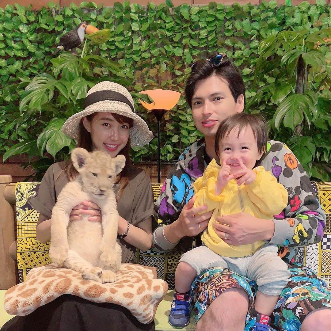 川崎希さんのインスタグラム写真 - (川崎希Instagram)「赤ちゃんライオンと記念写真🦁💓💓💓 ぬいぐるみみたいにふわふわだったよ〜 #サファリパーク #赤ちゃんライオン #おちびーぬはしっかりポーズしてた笑 #2枚目は赤ちゃんライオンと見つめ合う赤ちゃん👶」5月23日 14時59分 - kawasakinozomi