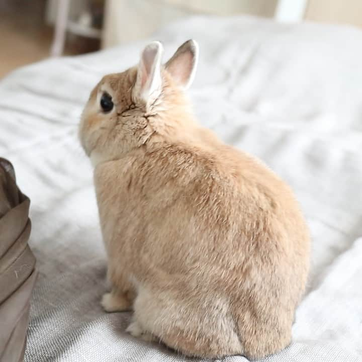 うー & なー ❤️ウチムラのインスタグラム